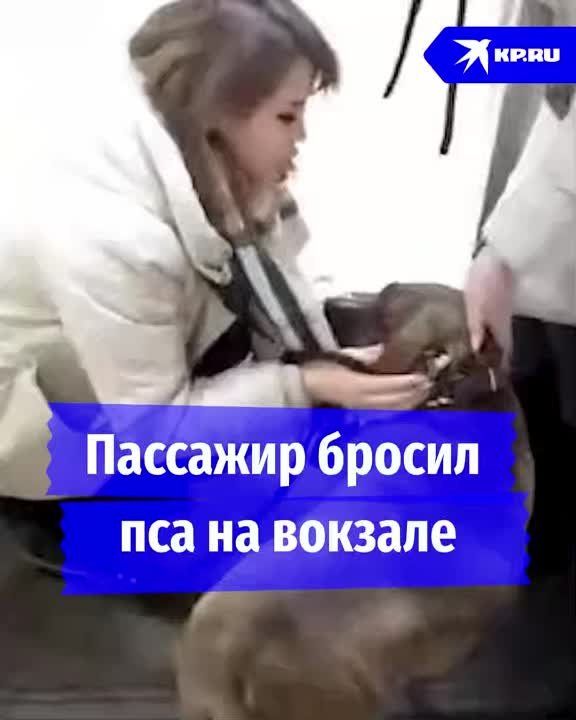 ����������� ������ �� ������ ��������� ������
