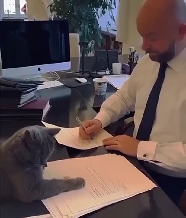 ��� ���! �������� �����