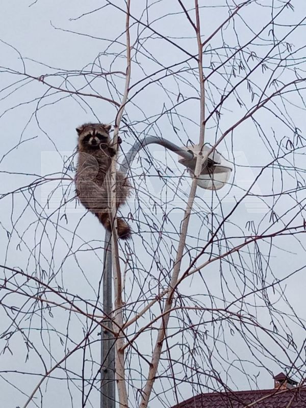 ������ ������ ��������: � ���������� ���� �������� �� ������ � �����