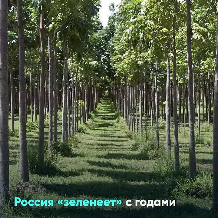 ������ �������: � ��������� ���� ������ ������� ����������� �� ������������ �� ����������� ������ � ��������� ������� ��������, ������� ������ ������� � �������� ��������