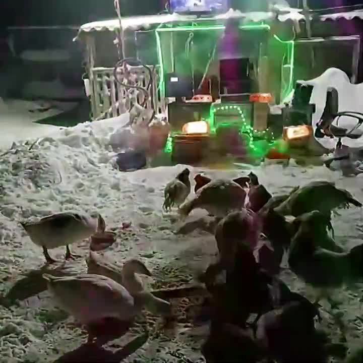 ������� �� ���������� �������� �� ������� ������� ����� ��� ���-���� � ����� "����-���" � ������ � ������