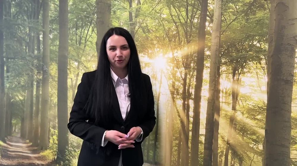 Друзья, а вы уже перешли на электронную квитанцию?