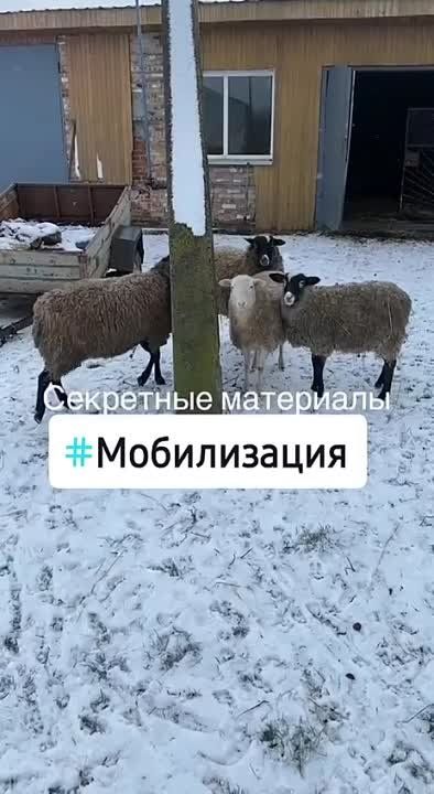 ���������� �� ������� ��������� �� �������������� ����� ������