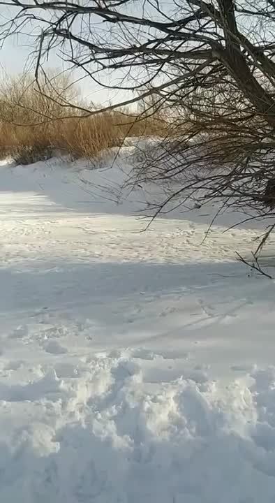 ������� �� �������. �������������� ��