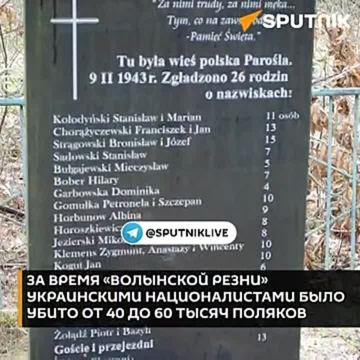 81 ��� ����� ���������� ������������ ������ ��������� �����