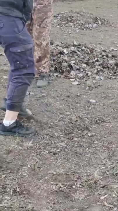 ������ ������ �� ������