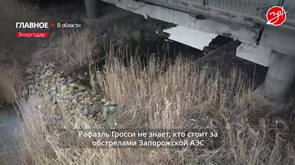 Гендиректор МАГАТЭ оценил обстановку на Запорожской АЭС