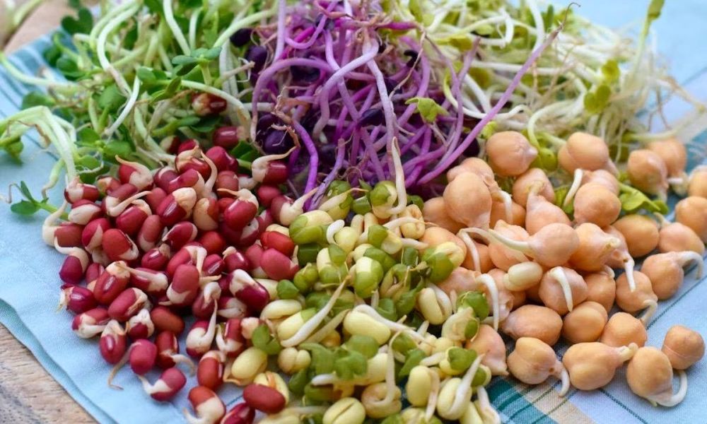 ��� ���� ����� ����������� ������ ����� �������
