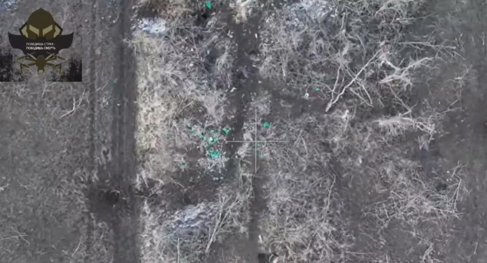 � �� ��������� ���������� ������ ������� ������