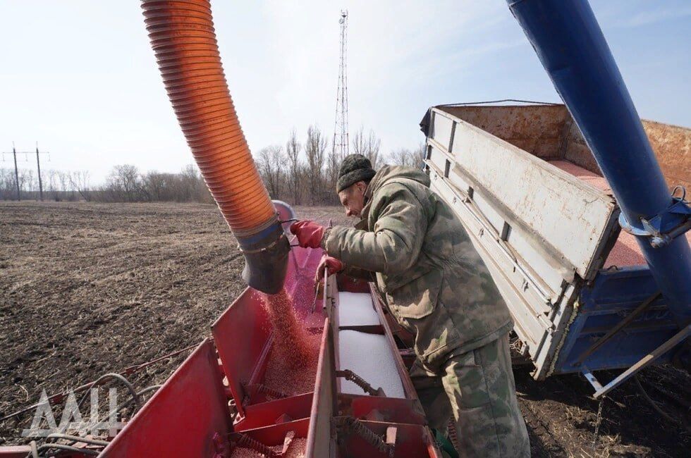 ДНР, ЛНР, Запорожская область, Херсонская область