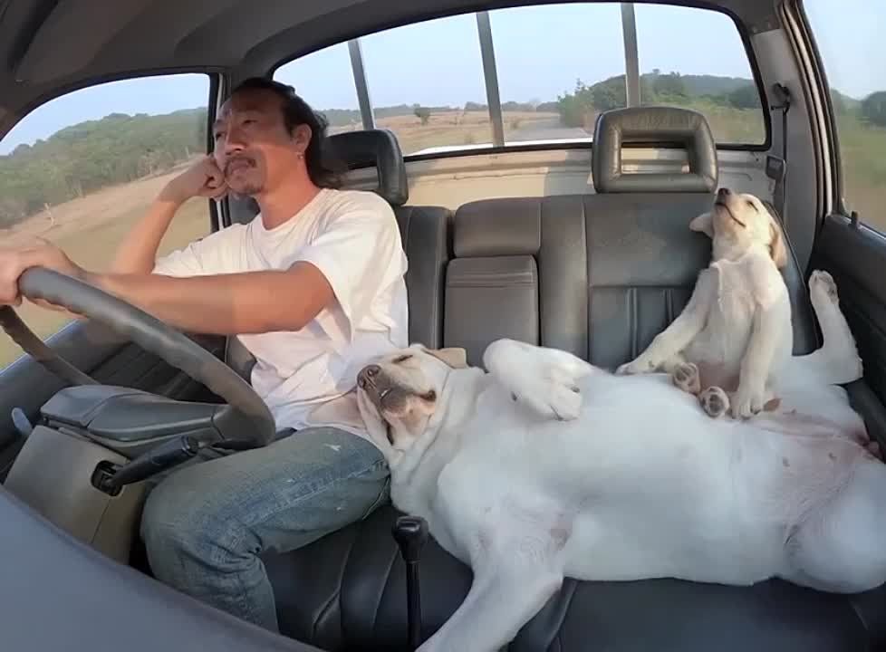 �������� � ��������. �������������� ��