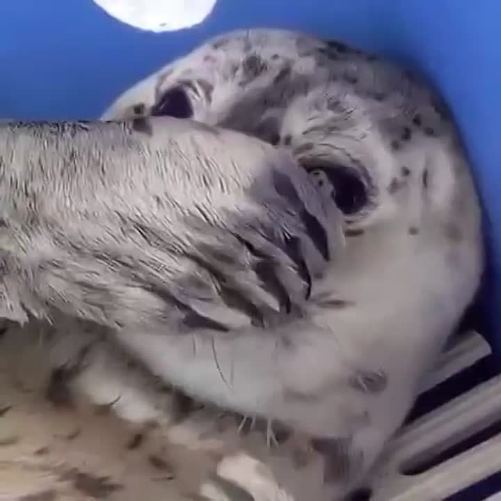 ����� ��������� ����� ����������, ��� ��� ����� ���������