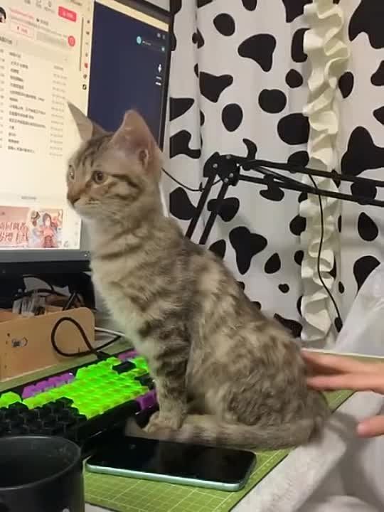 ���������� �����. �������������� ��