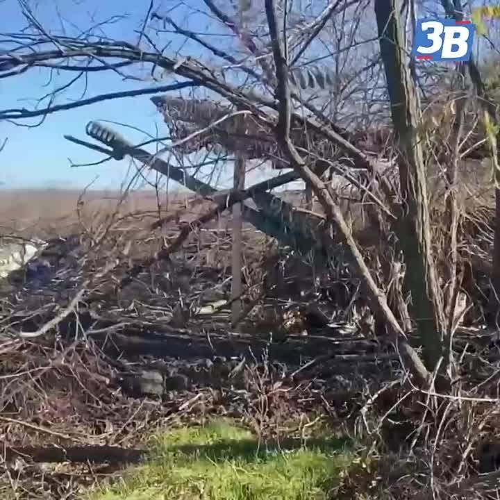 �� ����������� ����������� �� ������ �������� ��������� ���� �������� ��� � ������� ���������� ������� ��������, �������������, ����������, ��������� � �������