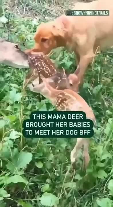 ����� �������� ����� ������ � ������-�������
