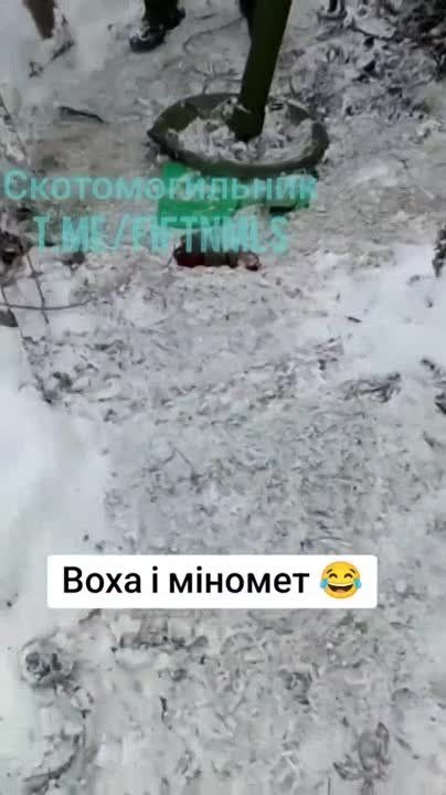 ��������� ��������� ����