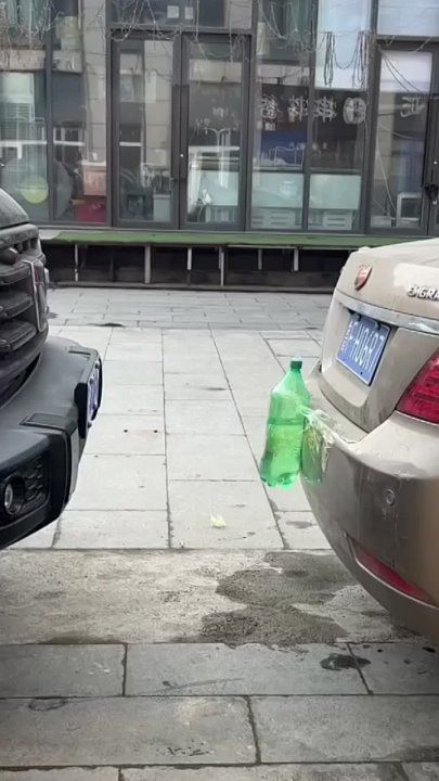 ��������� ����������. �������������� ��