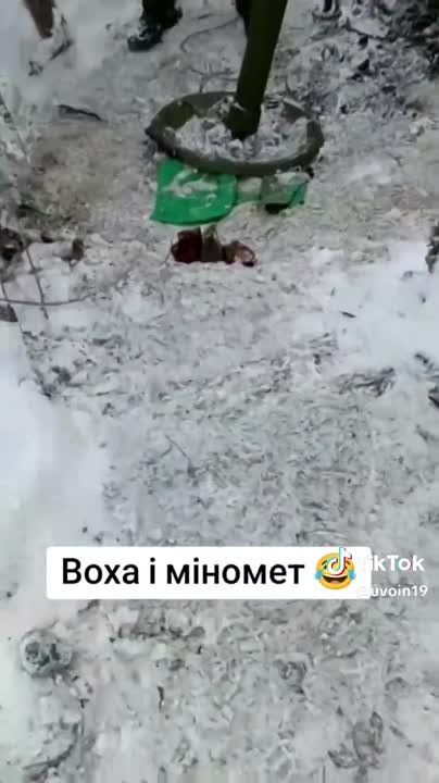 � ��� � ������ ���������� �������� �� ����������� ���������