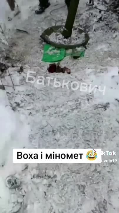 ���� �������������� ������� "����" �� ��� �� ��� ���. ������� � ���������� ������