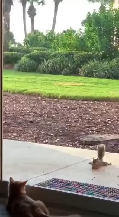 ��������������� �����. �������������� ��