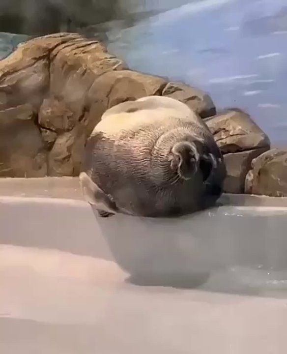 ������ ����, ������! ��� 5 ����� � ���� ��������, ��� ���? ����� ���������� � �������!