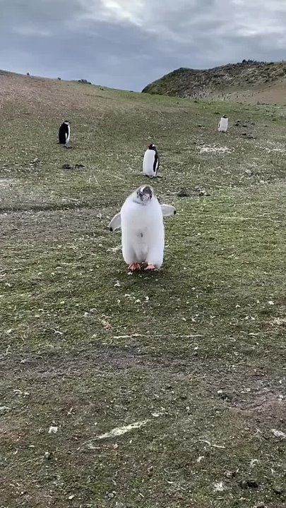 ��� �������� ����� �������� �� ������