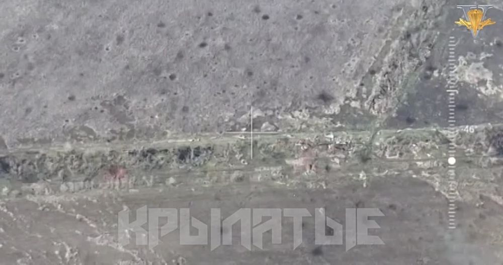 ����� �����: ����������� �����������