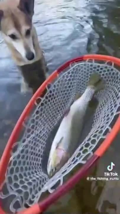 ������� ������ �� ����������� ����� �������� �����
