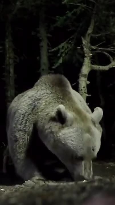 ���� �������� ����� ������� ����������� �� ����� �����