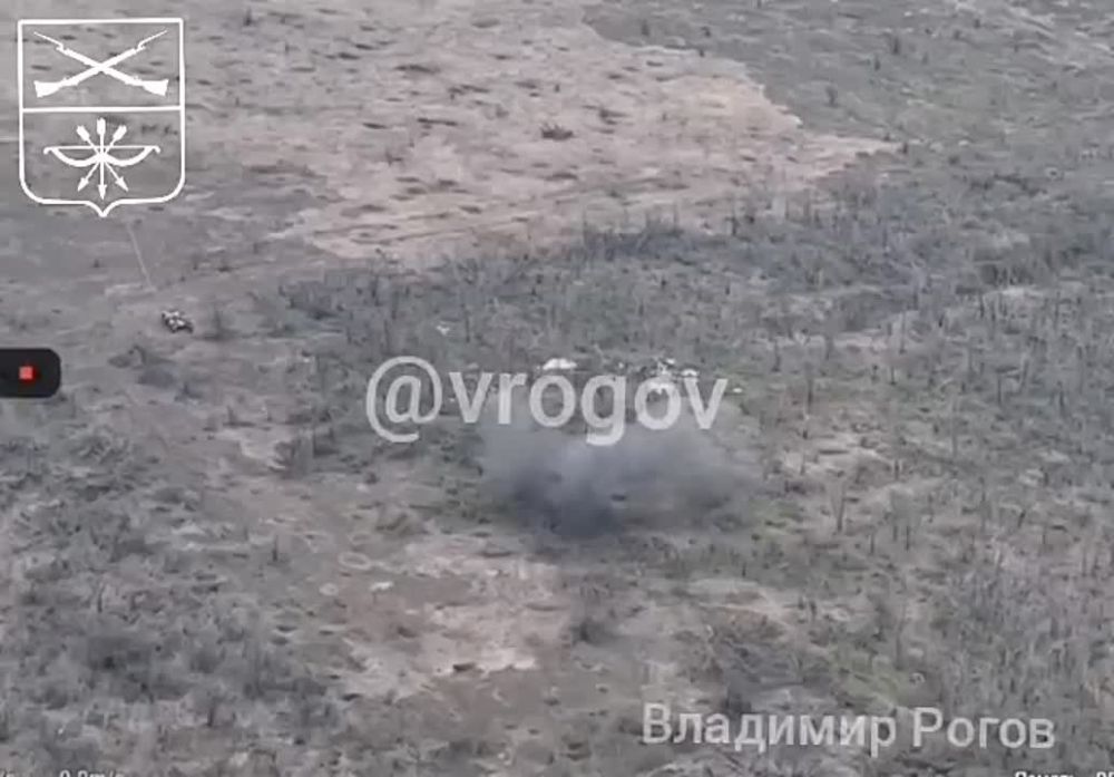 �������� �����: ������ ���� - ����� � ����!