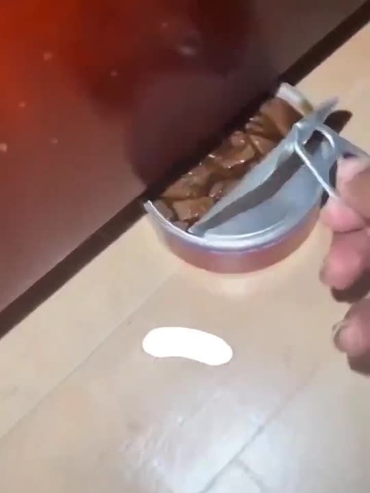 ������� ����� �������! ���� ��������� ��������!