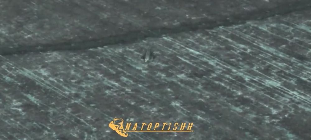 � ������ �.�. ��������� �������� ������ ����� "�����" ���������� �� �������� ���