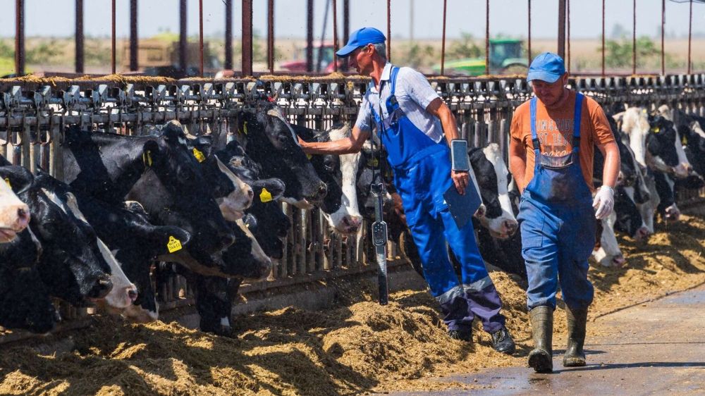 Аграриям и животноводам новых регионов продлили программы поддержки и субсидирования