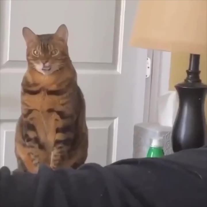 ����� ���� ���-�� �����������, �� �� ���������� ������� ���� � �����