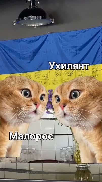 �������� � ���������� ����� � ������� �� ������� �������