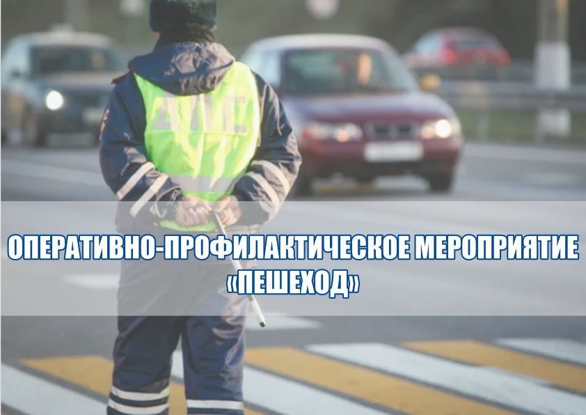13 ������� 2024 ���� ���������� ������ ���������������� ���������� ��� ������ "��������������" �������� ����������-���������������� ����������� ��������
