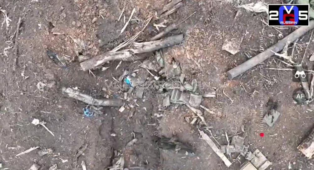 ����� �����: ����������� �����������