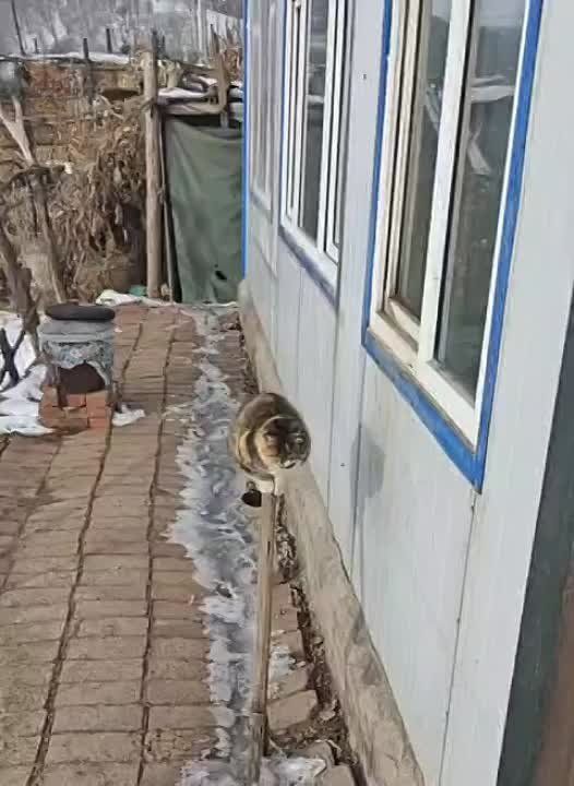 ������ � �����. �������������� ��