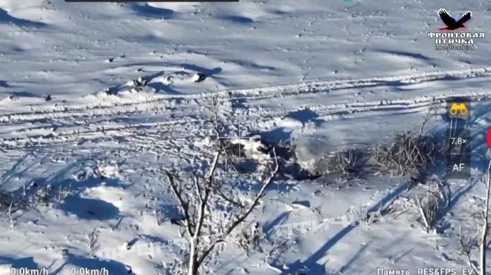 ���� FPV ������ �� ������ ���������