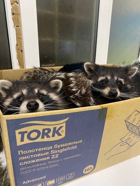 ������ ����, ������! �������� ��� ��� � ��������� ����������!