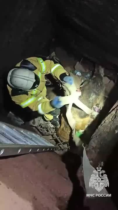 ���������� ��� ������ � �������� �������� ���������� ������ ����� ��� �����