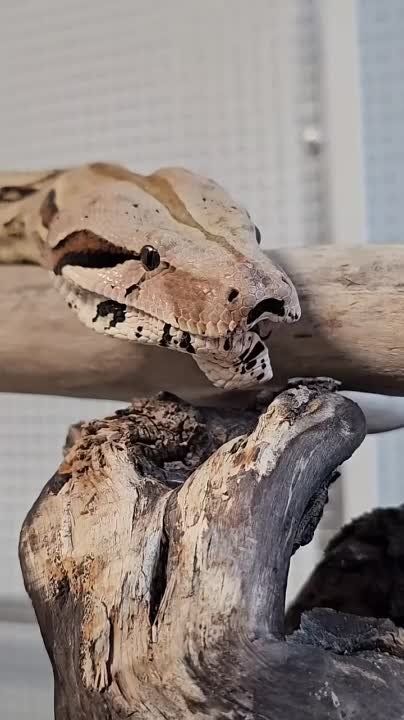 ���� ����� ������?