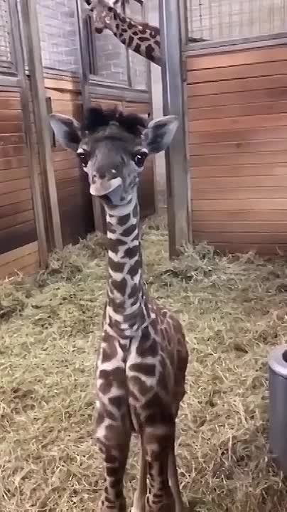 ������� ������� ������ ����� ������ � ��� � �������� 6 ������� ��� ����� ��������� ������ �� 3 ������