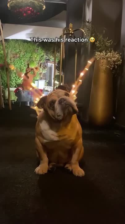 ����� �������������� ������� �� ��� ����� �����