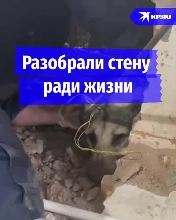 � ������� ��������� ����� ��������, ����� ������� ����������� ���