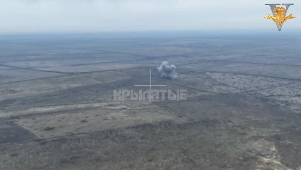 ����� �����: ����������� �����������