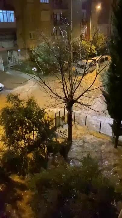 ������� ����� ������� ���������� � �������� ��������� �������, � ��������� ������� �������� ������������ ���������