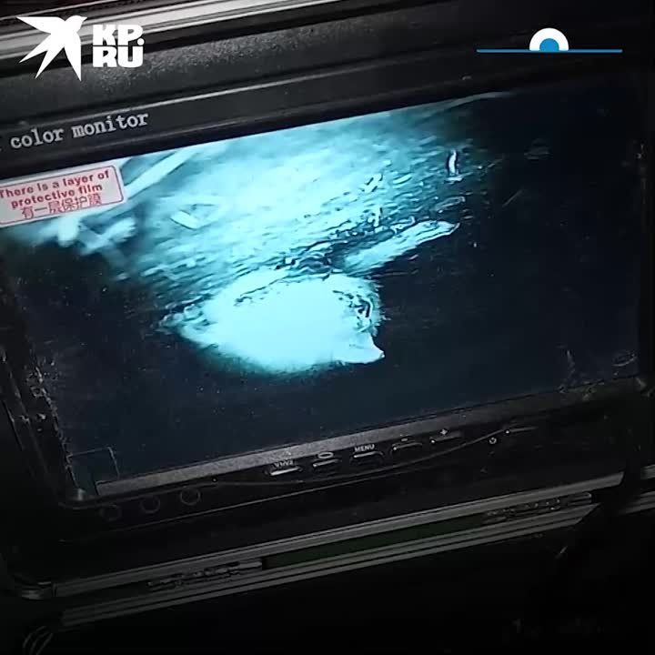 �������� �� ����� ���������