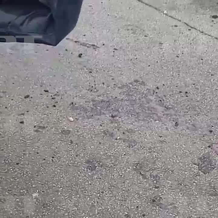 ������� ������, �������, �� �����, �� ������. ��� �����?�