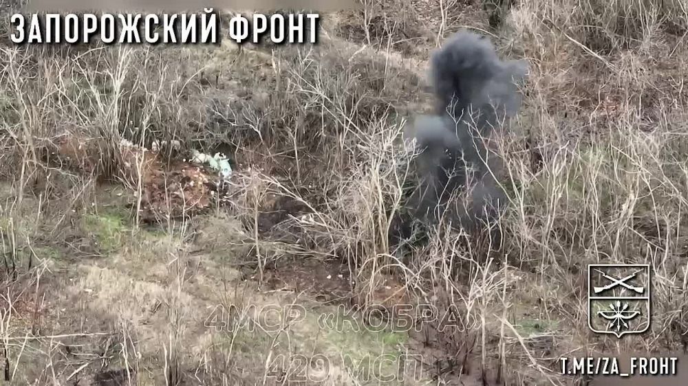 �� ��������� �.�. ���������